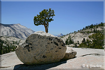 Olmsted Point